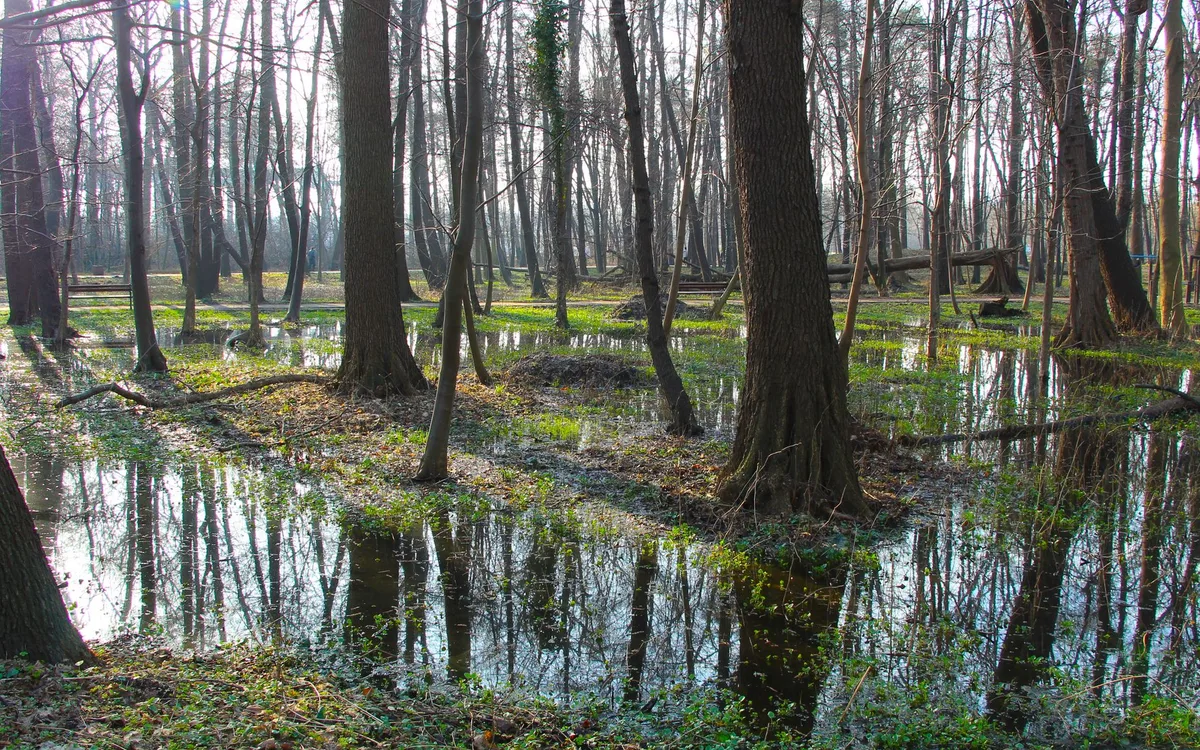 Ściółka, woda i profilaktyka wychłodzenia
