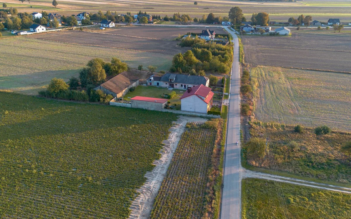 Wybieg, sąsiedzi i lokalizacja na działce
