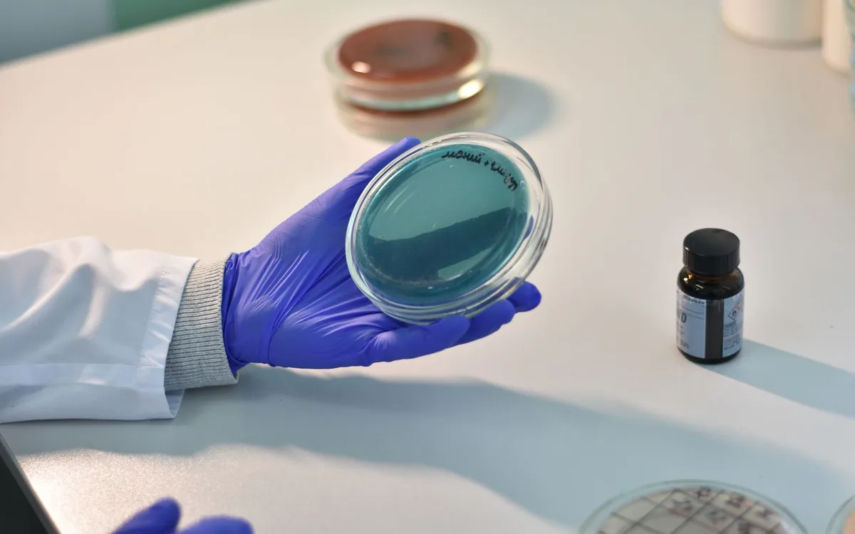 Bioasekuracja, choroby zakaźne i kontakt z dzikim ptactwem