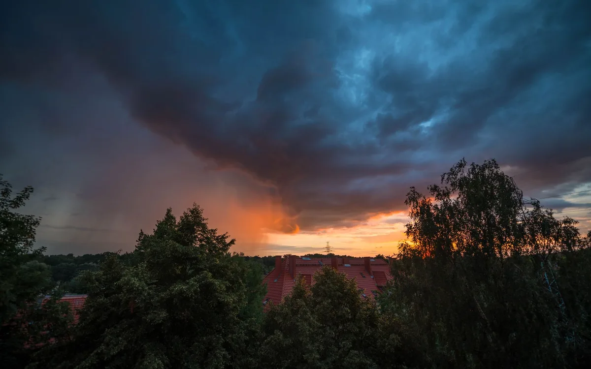 Codzienna profilaktyka po deszczu