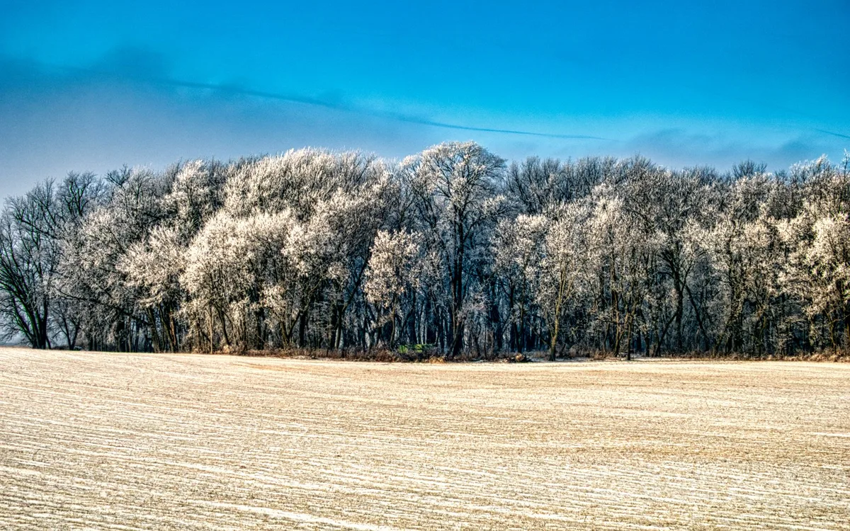Woda podczas mrozów: poidła, temperatura i higiena