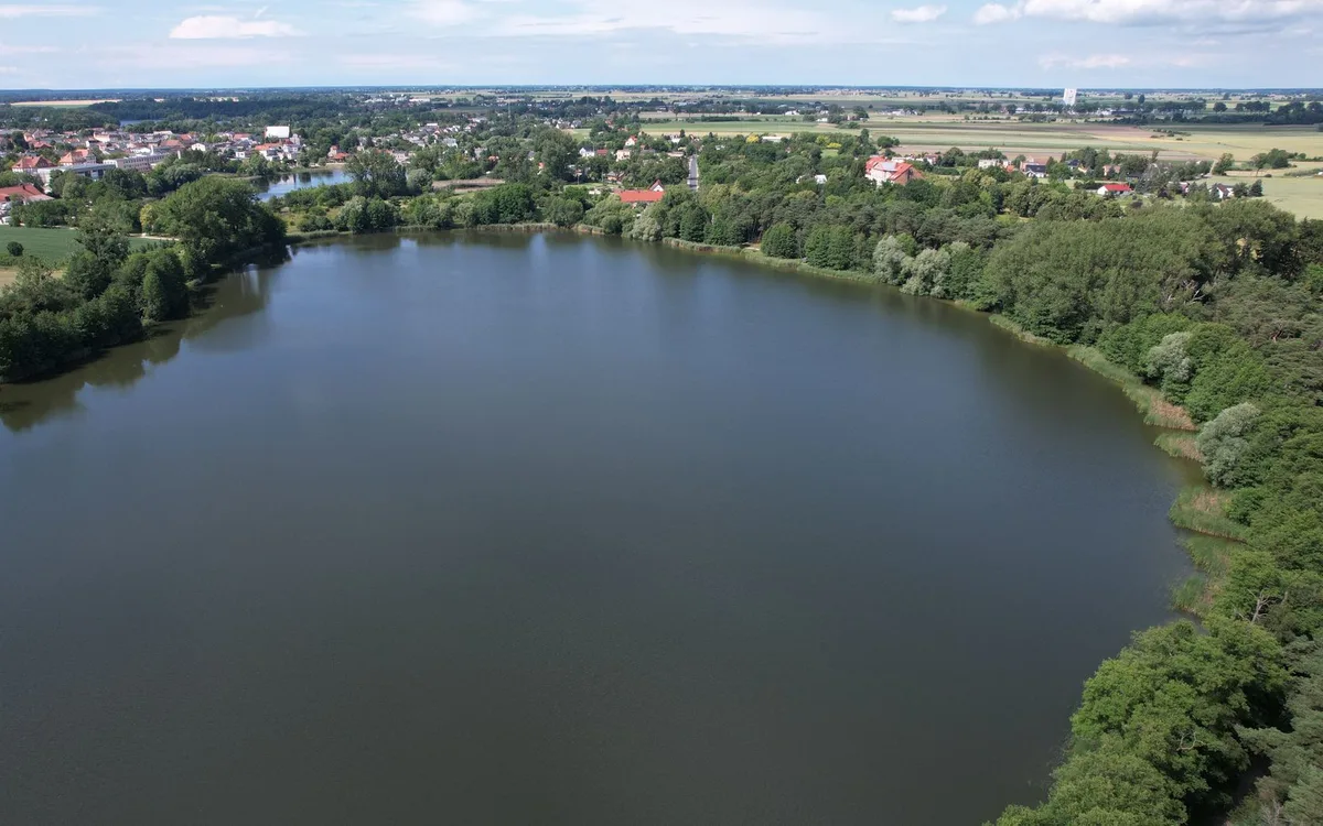 Pasza, woda i pierwsze karmienie