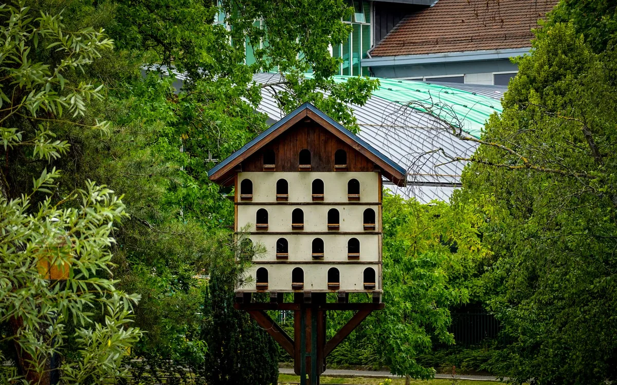 Gniazda lęgowe