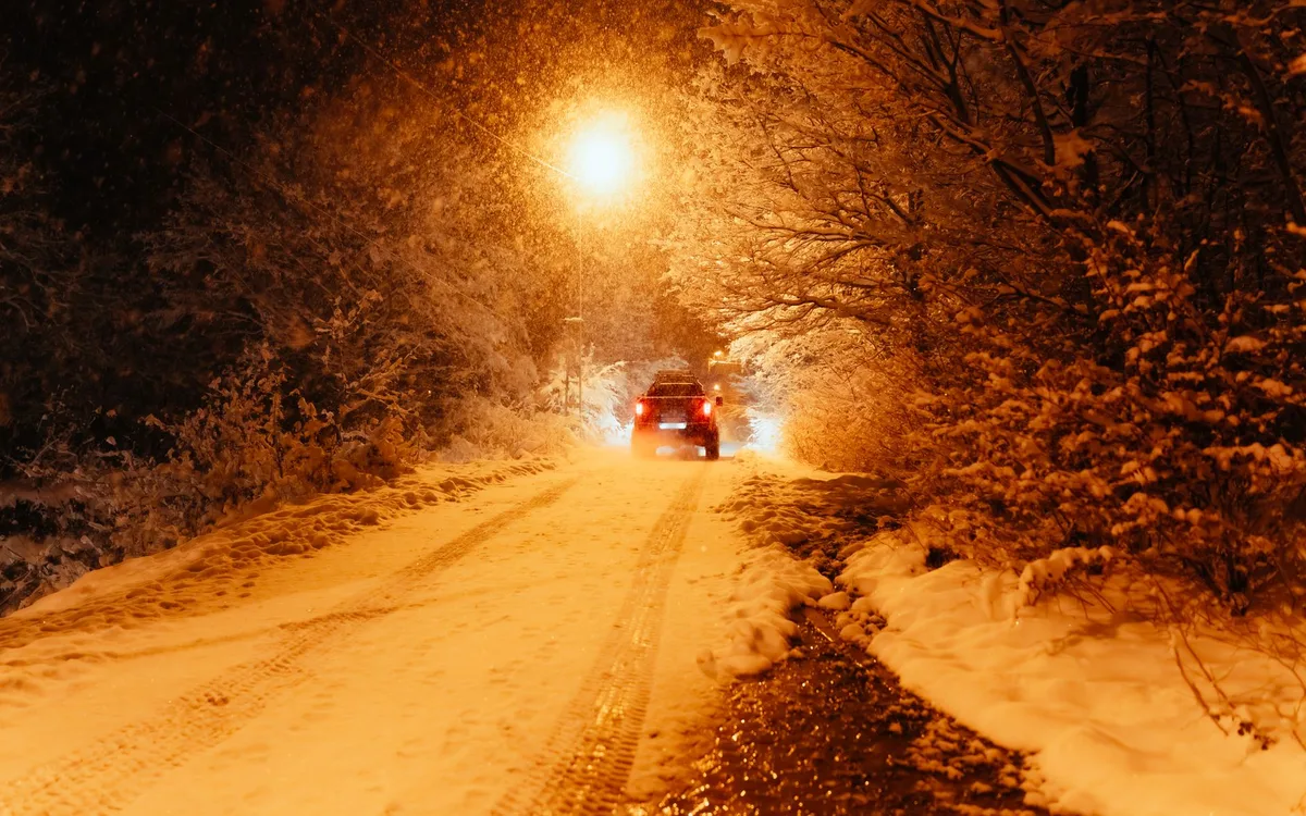 Spokój, światło i warunki utrzymania