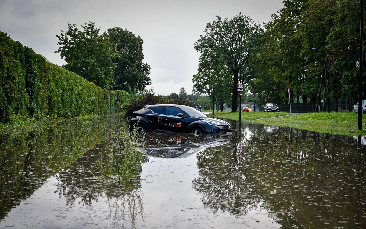 Najważniejsze niedobory i skutki w stadzie