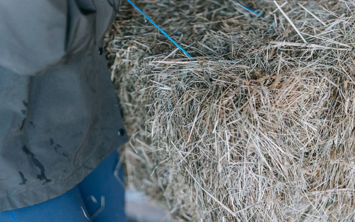 Pasza, woda i dodatki mineralne