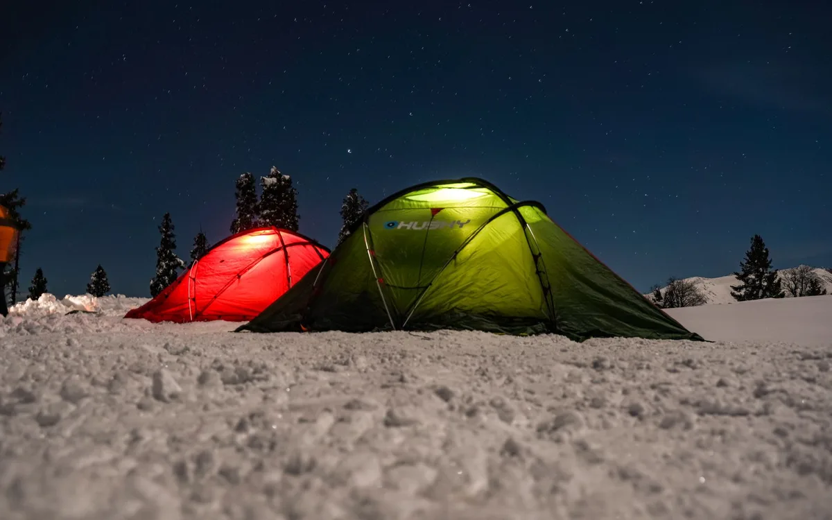 Nocne schronienie i zimowanie