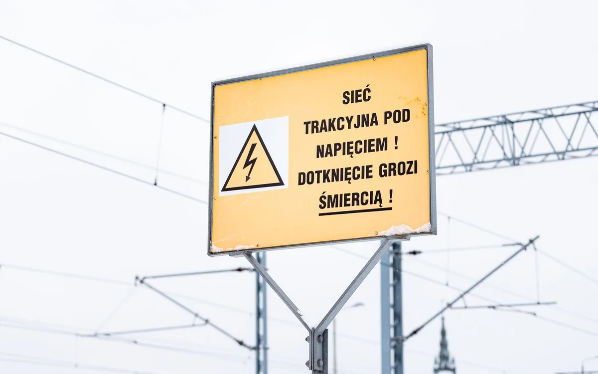 Obserwacja napięć i zachowań stadnych