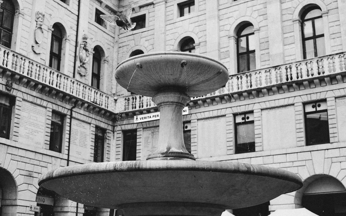 Rekomendacje według gatunku i gleby