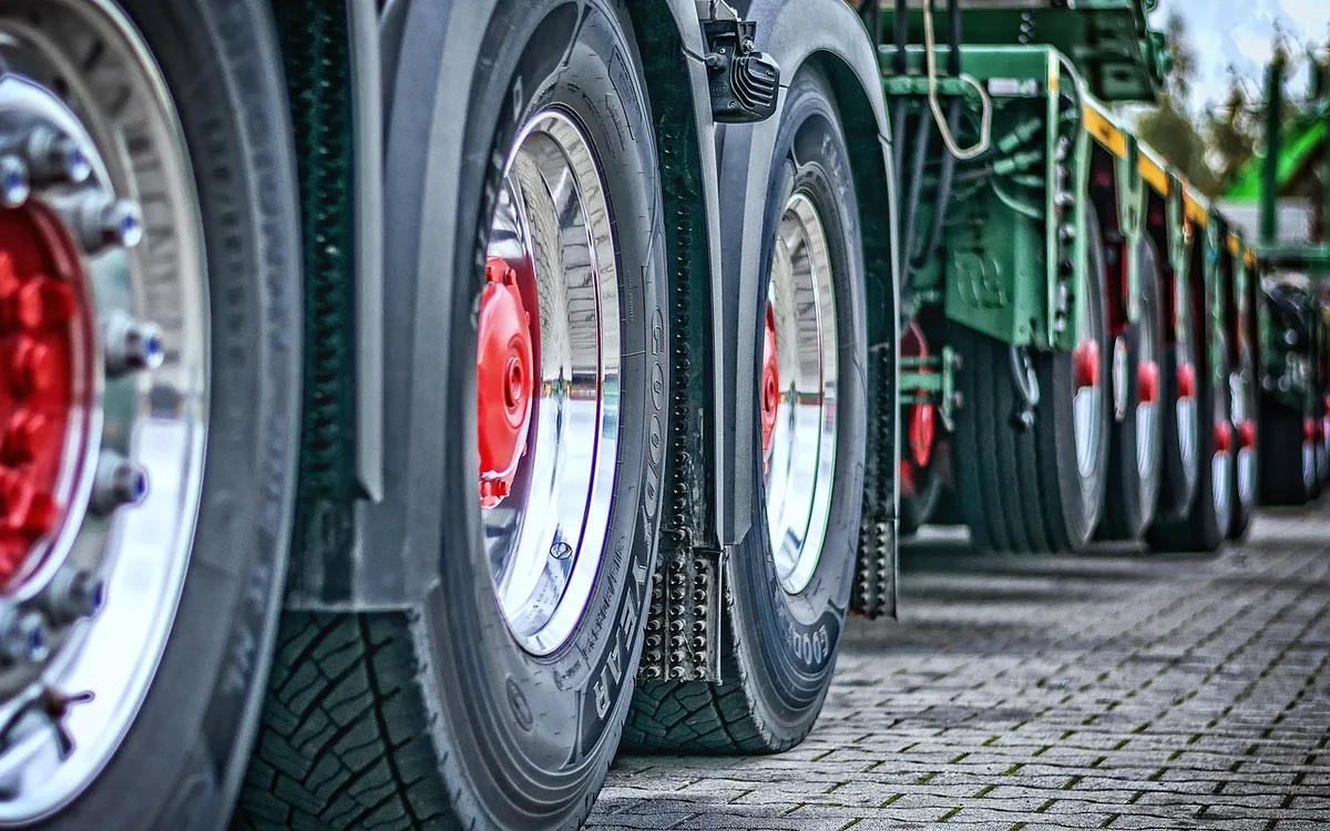 Odbiór i transport indyków