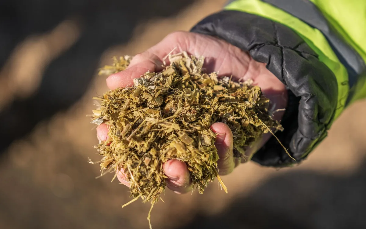 Ściółka, higiena i bioasekuracja